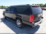 Cadillac Escalade Esv Standard 1GYFK66898R161596 photo