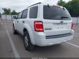 Ford Escape Xlt 1FMCU03Z38KC22863 снимка