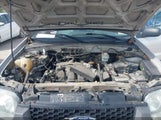 Ford Escape Xlt/Xlt Sport 1FMYU03196KB48488 fotografie