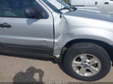 Ford Escape Xlt/Xlt Sport 1FMYU03196KB48488 photo