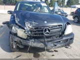 Mercedes-Benz Ml 320 4JGAB54E53A372462 снимка