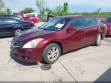 Nissan Altima 2.5 S 1N4AL2AP1BC182639 fotografie