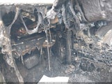 Tesla Model 3 Long Range Rear-Wheel Drive/Standard Rear-Wheel Drive 5YJ3E1EA4SF059319 fotografie