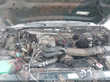 Ford Bronco U100 1FMEU15N9RLA12921 снимка