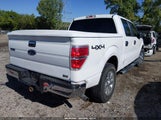 Ford F-150 Fx4/Harley-Davidson/King Ranch/Lariat/Platinum/Xl/Xlt 1FTFW1EV2AFD12077 fotografie