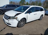 Honda Odyssey Ex-L 5FNRL5H6XDB043031 снимка