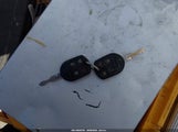 Miniaturka zdjęcia 11