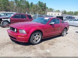 Ford Mustang Gt Deluxe/Gt Premium 1ZVHT82H255103598 photo