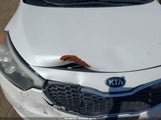 Kia Forte Lx KNAFX4A66F5428194 снимка