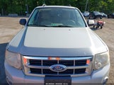 Ford Escape Xlt 1FMCU93188KC66582 снимка