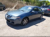 Acura Tsx JH4CL96844C043538 снимка