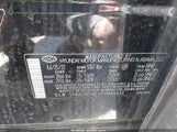 Hyundai Santa Fe Limited 5NMS4DALXPH485433 photo