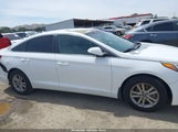 Hyundai Sonata Se 5NPE24AF5FH139563 снимка