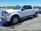 Ford F-150 Fx4/Harley-Davidson/King Ranch/Lariat/Platinum/Xl/Xlt 1FTFW1EVXAFB04979 fotografie