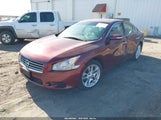 Nissan Maxima 3.5 Sv 1N4AA5APXBC801374 снимка