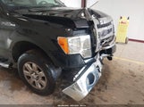 Ford F-150 Xlt 1FTFX1EF1DKD51020 снимка