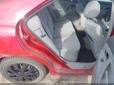 Miniaturka zdjęcia 8
