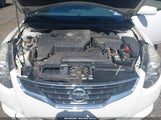 Miniaturka zdjęcia 10