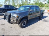 Toyota Tacoma Base V6 3TMLU42N29M036784 снимка