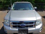 Ford Escape Xlt 1FMCU03G09KA18344 снимка