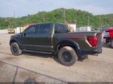 Ford F-150 Raptor 1FTFW1RG9SFB70680 photo