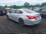 Nissan Altima 2.5 S 1N4AL3AP5HC494011 снимка