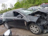 Cadillac Srx Luxury Collection 3GYFNAEY1BS542469 снимка