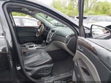 Cadillac Srx Luxury Collection 3GYFNAEY1BS542469 снимка