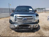 Ford F-150 Xlt 1FTFW1EF8EKG29903 снимка
