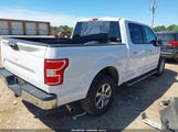 Ford F-150 Xlt 1FTEW1EG0JFB50625 снимка