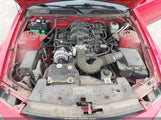 Ford Mustang V6 1ZVFT80N965144327 снимка