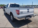 Ford F-150 Fx2 Sport/Stx/Xl/Xlt 1FTEX1C85AFA03161 fotografie