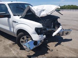 Ford F-150 Fx2 Sport/Stx/Xl/Xlt 1FTEX1C85AFA03161 снимка