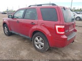 Ford Escape Xlt 1FMCU9DG8BKB20676 photo