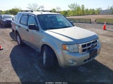 Ford Escape Xlt 1FMCU9D73AKD30343 снимка