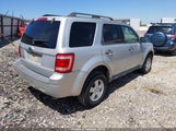 Ford Escape Xlt 1FMCU03G59KC02615 снимка