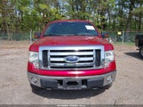 Ford F-150 Fx4/Lariat/Xl/Xlt 1FTPX14V09FA14495 photo