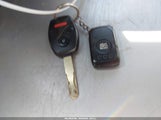 Miniaturka zdjęcia 11