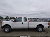 Ford F-250 Xl 1FT7X2BT3FED59982 снимка