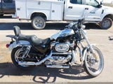 Harley-Davidson Xl1200 C Anniversary 1HD1CGP403K455564 снимка