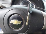 Miniaturka zdjęcia 11