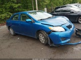 Toyota Corolla Le 2T1BU4EE8AC240462 fotografie