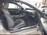 Miniaturka zdjęcia 5