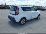 Miniaturka zdjęcia 4