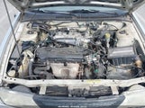 Nissan Sentra Gxe/Xe 3N1AB41D1WL040237 photo