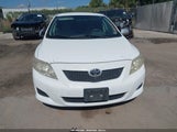 Toyota Corolla Le 2T1BU4EE8AC440662 снимка