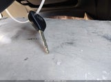 Miniaturka zdjęcia 11