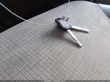 Miniaturka zdjęcia 11