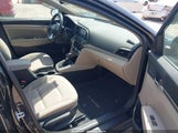 Miniaturka zdjęcia 5