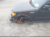 Miniaturka zdjęcia 6